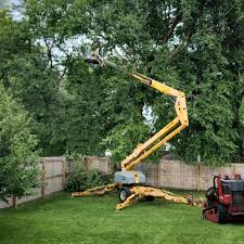 How Our Tree Care Process Works  in  Erda, UT